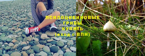 тгк Зерноград