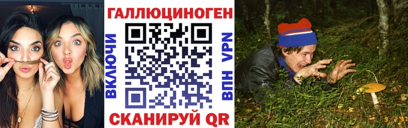Купить где  Дивногорск  Псилоцибиновые грибы MAGIC MUSHROOMS 